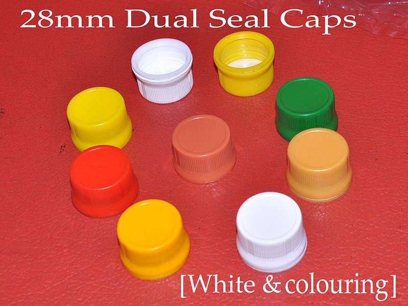 Seal Cap